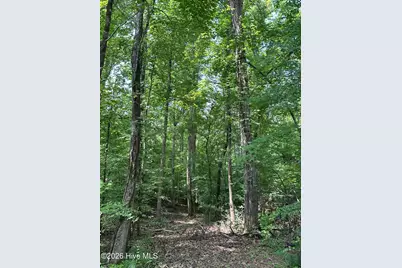 Lot 17 Lakeshore Estates Drive, Lincolnton, GA 30817 - Photo 5
