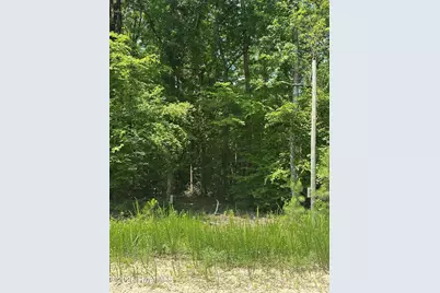 Lot 17 Lakeshore Estates Drive, Lincolnton, GA 30817 - Photo 3