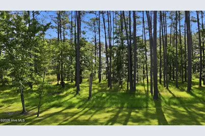 164 Broadview Point, Oriental, NC 28571 - Photo 7