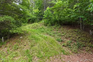00 Choctaw Ridge Trail, Murphy, NC 28906 - Photo 1
