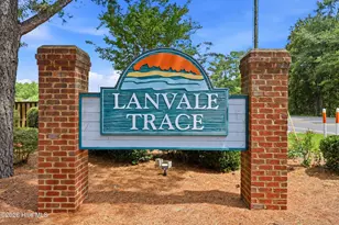 4124 Pine Brush Dr, Leland, NC 28451 - Photo 59