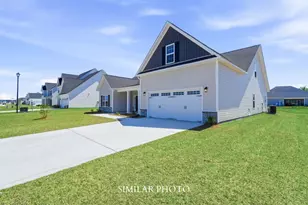 733 Atlantic Coast Ln, Jacksonville, NC 28546 - Photo 3