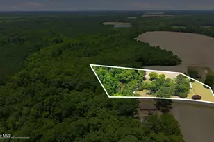 579 N Grimesland Bridge Rd, Washington, NC 27889 - Photo 5