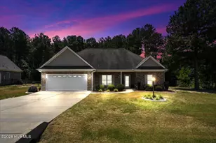 310 S Merganser Dr, Pikeville, NC 27863 - Photo 39