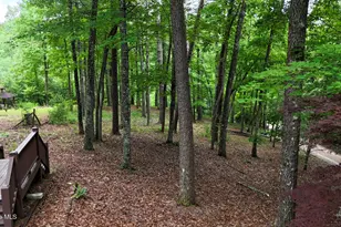 115 Degatide Dr, Murphy, NC 28906 - Photo 11