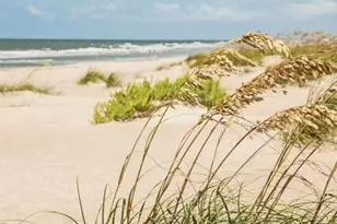 168 S Shore Dr, Southport, NC 28461 - Photo 51