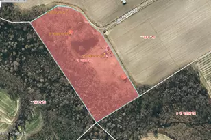 157 Alphin Ln, Warsaw, NC 28398 - Photo 5