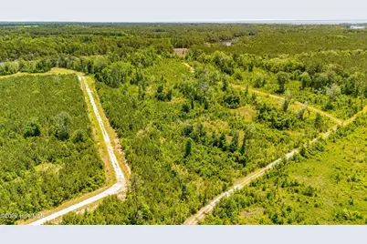 Tract1 & 2 Kershaw Road, Oriental, NC 28571 - Photo 11
