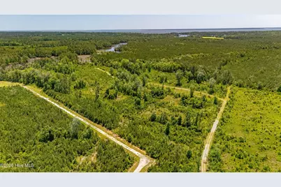 Tract1 & 2 Kershaw Road, Oriental, NC 28571 - Photo 7