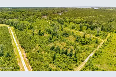 Tract1 & 2 Kershaw Road, Oriental, NC 28571 - Photo 13
