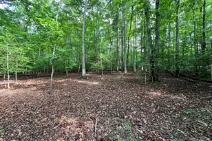 365 Roberson Rd, Murphy, NC 28906 - Photo 55