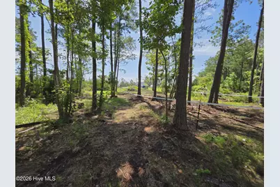 1063 Highway 70, Stacy, NC 28581 - Photo 7