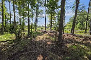 1063 Hwy 70, Stacy, NC 28581 - Photo 7