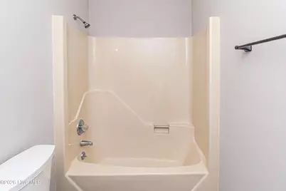 358 White Flash Road, Mount Olive, NC 28365 - Photo 17