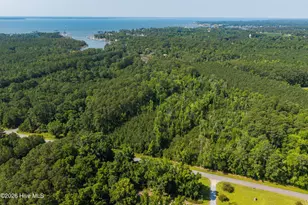 1 White Farm Rd, Oriental, NC 28571 - Photo 1