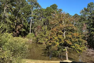1411 Serenity Crk Dr, Martinez, GA 30907 - Photo 3