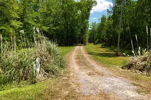 380 Fort Island Rd, Eure, NC 27935 - Photo 3