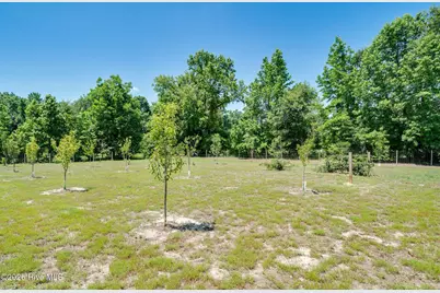 424 Jimmy Tate Williams Road, Beulaville, NC 28518 - Photo 33