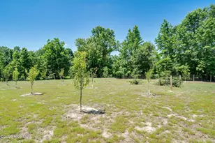 424 Jimmy Tate Williams Rd, Beulaville, NC 28518 - Photo 33