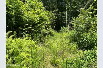 Lt 41 & 42 Smokey Hollow Drive, Murphy, NC 28906 - Photo 9