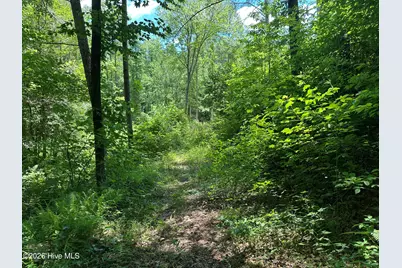 Lt 41 & 42 Smokey Hollow Drive, Murphy, NC 28906 - Photo 35