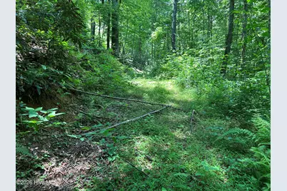 Lt 41 & 42 Smokey Hollow Drive, Murphy, NC 28906 - Photo 31