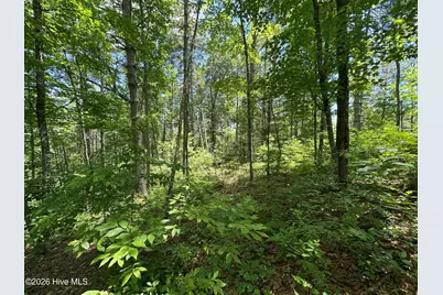 Lt 41 & 42 Smokey Hollow Drive, Murphy, NC 28906 - Photo 19