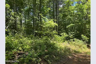 Lt 41 & 42 Smokey Hollow Drive, Murphy, NC 28906 - Photo 29
