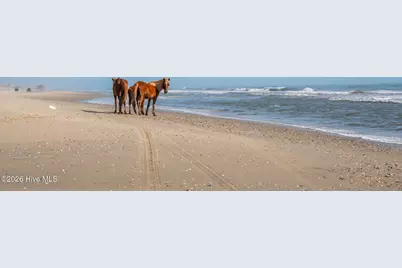 2086 Sandpiper Road, Corolla, NC 27927 - Photo 21