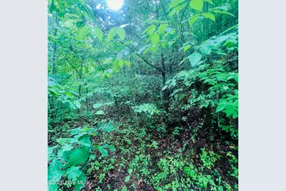 Lot 20 Owl Bluff, Murphy, NC 28906 - Photo 3