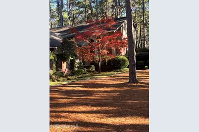 335 Swoope Drive, Southern Pines, NC 28387 - Photo 37