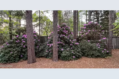 335 Swoope Drive, Southern Pines, NC 28387 - Photo 39