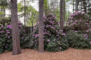 335 Swoope Dr, Southern Pines, NC 28387 - Photo 39