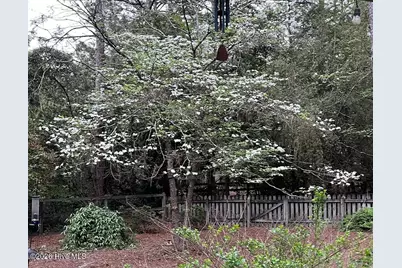 335 Swoope Drive, Southern Pines, NC 28387 - Photo 39