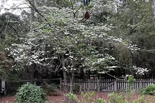 335 Swoope Dr, Southern Pines, NC 28387 - Photo 39