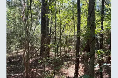 87 Bailey Pointe Drive, Belhaven, NC 27810 - Photo 21