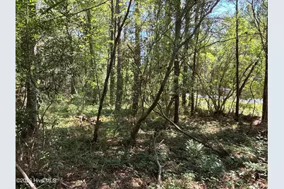 87 Bailey Pointe Drive, Belhaven, NC 27810 - Photo 5