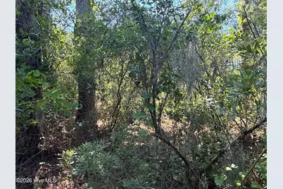 87 Bailey Pointe Drive, Belhaven, NC 27810 - Photo 13