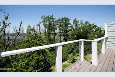 2689 Alvernia Drive, Castle Hayne, NC 28429 - Photo 59