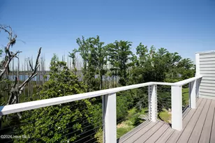 2689 Alvernia Dr, Castle Hayne, NC 28429 - Photo 59