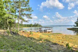 1076 Elm Dr, Lincolnton, GA 30817 - Photo 87