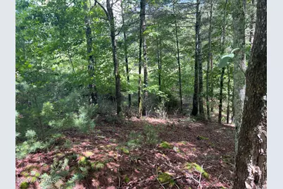 0 River Mountain Road, Murphy, NC 28906 - Photo 5