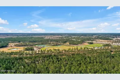 2219 Sweetspire Street #Unit 2067, Leland, NC 28451 - Photo 33