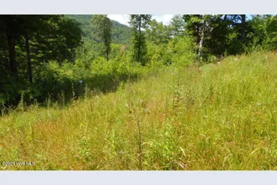 16 Tyler Ridge, Murphy, NC 28906 - Photo 5