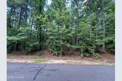 307 Thimbleberry Drive, Vass, NC 28394 - Photo 1
