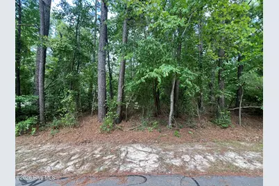 307 Thimbleberry Drive, Vass, NC 28394 - Photo 5
