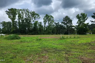 111 Blanche St, Chadbourn, NC 28431 - Photo 3