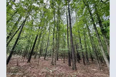01 Titan Roberts Rd, Erwin, NC 28339 - Photo 5