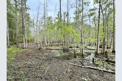 01 Titan Roberts Rd, Erwin, NC 28339 - Photo 7