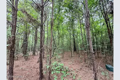 01 Titan Roberts Rd, Erwin, NC 28339 - Photo 21
